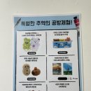 고양이샵 | [문래] 문래동소품샵 데이트하기 좋은 지적인 고양이 후기