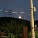 어리둥절한 인생이다