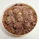 파시비니 이미지