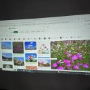H1080 이미지