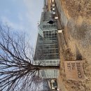 알렉스 더 커피 (Alex The Coffee) | ​[용인 가볼만한곳] 온실 속 커피 향기, 백암 '알렉스 더 커피(Alex the Coffee)'