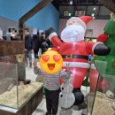 만나다 | 아쿠아리움 파충류와 만나다 후기｜아이와 물고기·파충류 체험 박람회