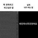 파랑물고기