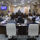 313 이미지