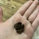까치산 분위기 좋은 카페| 커피볶는 곤이네집