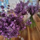 분토농장 이미지