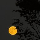 달뷰스테이 | [제주여행] 돌전 아가랑 묵기 좋은 독채펜션 촌캉스 숙소 '달뷰스테이' 후기