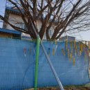 태창주유소 이미지