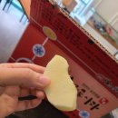 [창원][팔용동](한농상사) 믿고 구매하는 배달과일