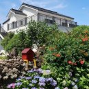 해거름길 이미지