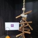 서울아산항외과의원 이미지