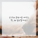 이불이야기 - 울진군 평해로 71-1 | 이불이야기