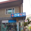 양지현대약국 이미지