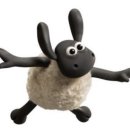 장현목장 | [애월 새별프렌즈 후기] 알파카, 블랙노즈양 등 다양한 동물체험이 가능한 곳 추천