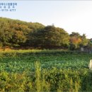 옥산리목장 네이버블로그