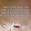 소중한사람들 이미지