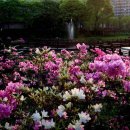 어린이대공원 이미지