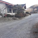 만평식당 이미지