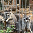 인천대공원(어린이동물원) 이미지