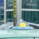 한밭수영장 이미지