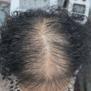 쥬쥬헤어클럽 이미지