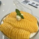 정자동 카페 망고빙수 맛집 카페더고
