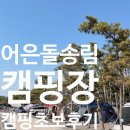 구름포해수욕장카라반 | 태안 어은돌송림캠핑장 후기｜장비 없는 가족도 가능했던 현실 캠핑 조합