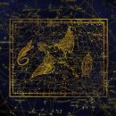 베가(VEGA) 이미지