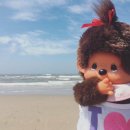 옥이네밀면칼국수 이미지