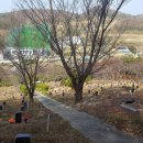 영락농원 -6 이미지