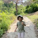 손가네농장 이미지