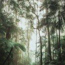 해운동산후다이어트 한의원 소문난 이곳으로