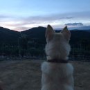 운교산방 이미지