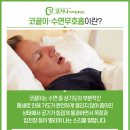 코가나이비인후과의원 네이버블로그