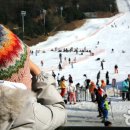 양지파인글램핑 이미지