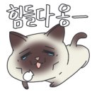 교동면옥(사동점) 이미지