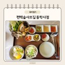 계룡산편백숲입구 | 공주 샤브샤브 편백숲샤브길 동학사점 계룡산 맛집 킹정