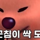 써니사이드업 ssupp 쌉