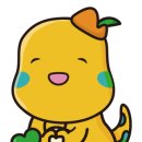 가도락 이미지