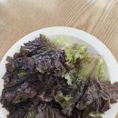 토담선지국밥