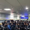 골드라인