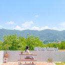 스테이 리네 이미지