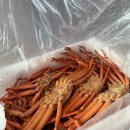 홍게 택배 배송 후기 박달홍게 연지 자숙홍게 보관 성이수산