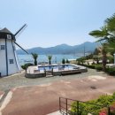 팜풀빌라 이미지