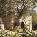 성모의집 | 성모의 대관 - 천상의 모후를 그리다