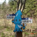 나리 야영장 옆 이미지