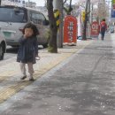 아듀로망스