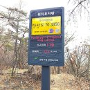 과천시청 이미지