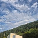 아늑서종 이미지