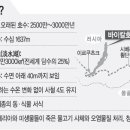 호수&홍익 이미지
